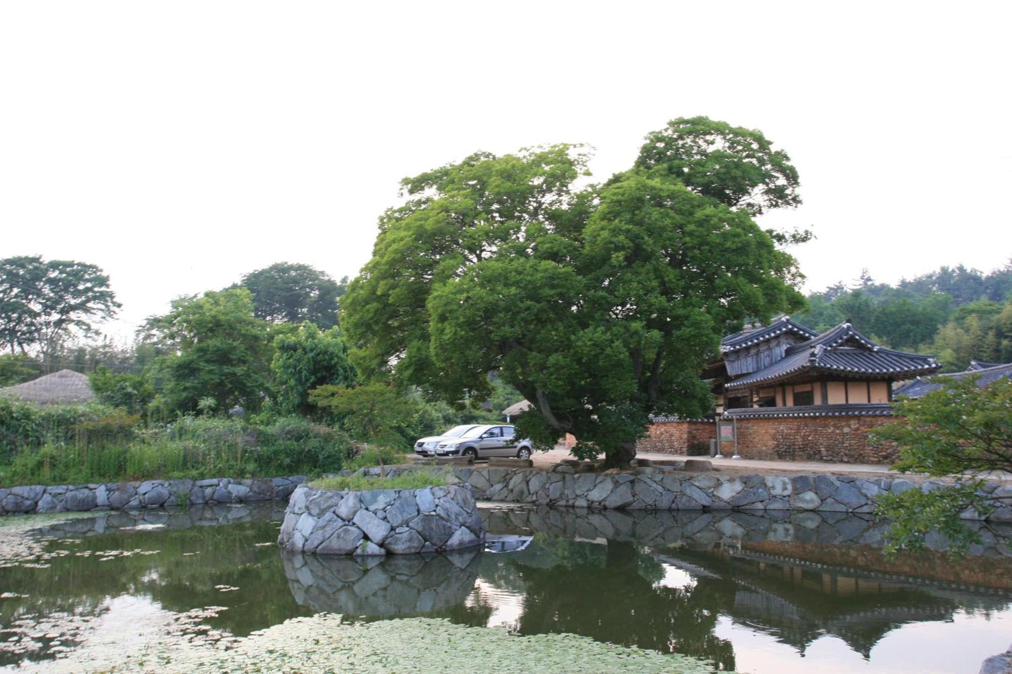 Jinrae Lee'S Traditional House 宝城郡 外观 照片